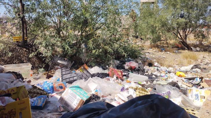 Vecinos de Villa de Seris reportan acumulación de basura en un predio abandonado