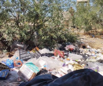 Protección Civil invita a denunciar terrenos con acumulación de basura