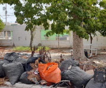 Planteles escolares de Hermosillo siguen en el olvido