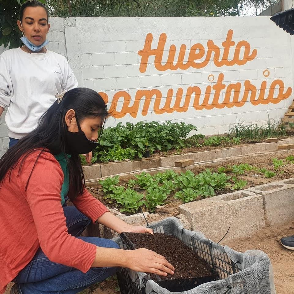 Amor y Convicción ofrece talleres para sembrar tu propio huerto