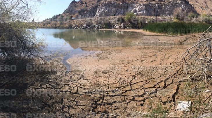 Colectivo llevará a cabo acciones legales por el descuido del humedal de La Sauceda