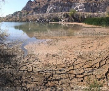 Colectivo llevará a cabo acciones legales por el descuido del humedal de La Sauceda