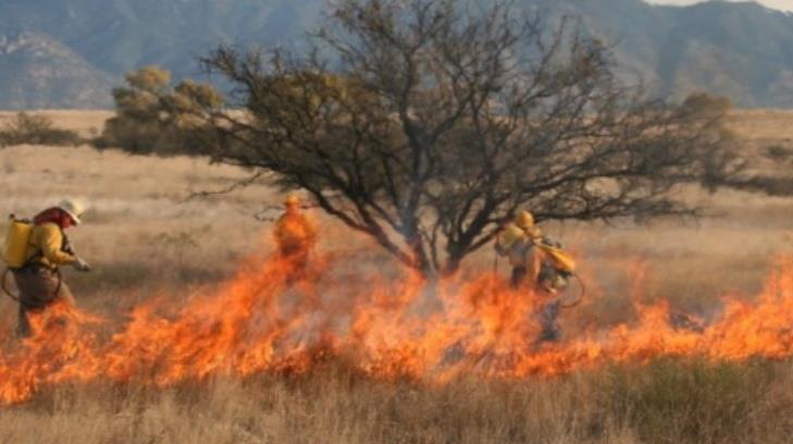 Incendios forestales aumentan por el calor en Sonora
