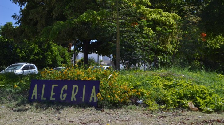 Vecinos de la Pitic llenan de flora un camellón de la zona