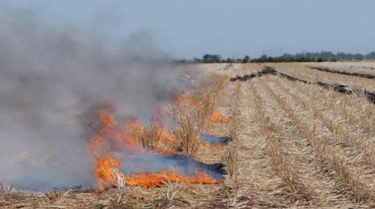 Agricultores se deslindan de quemas de gavilla en Huatabampo