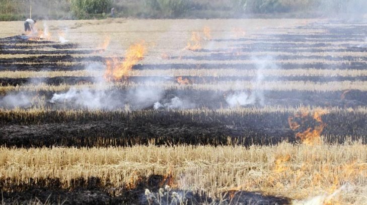 ¡Ya viene la cosecha! Bomberos de Etchojoa se preocupan por los incendios provocados