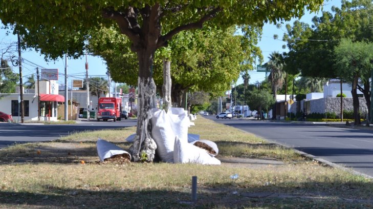 Se olvidan de los sacos de maleza y hojarasca en el Gómez Farías