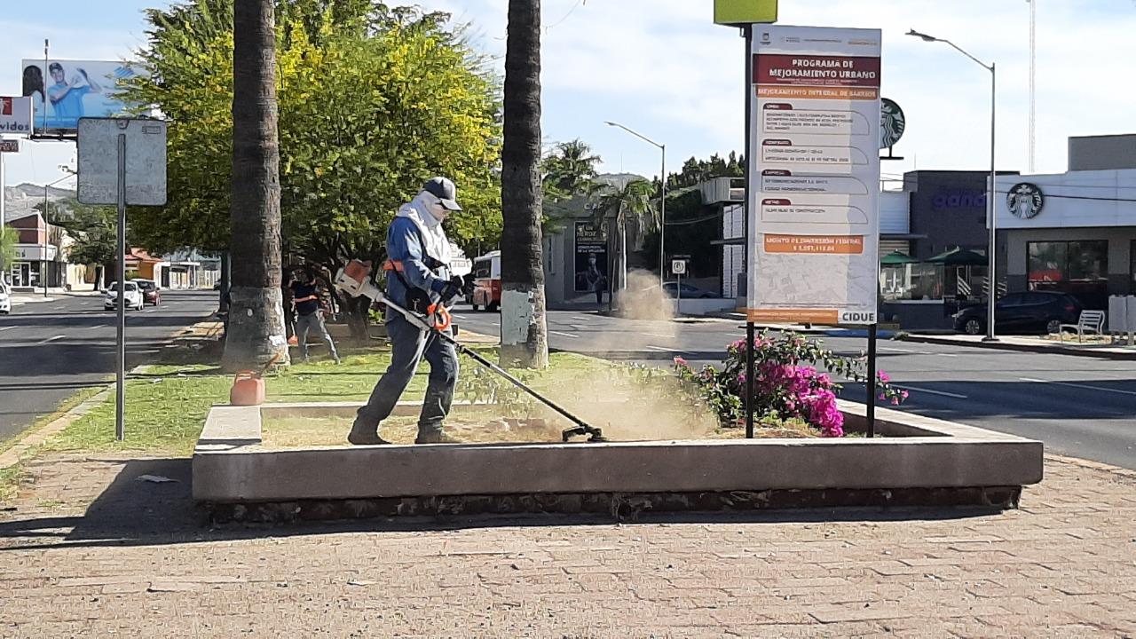 Embellecen la ciudad con sus labores de limpieza