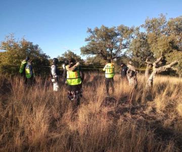 Macabro hallazgo en Nogales: localizan restos esparcidos en La Mesa