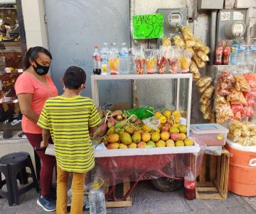 Los mangos son la última opción para sacar adelante a su hijo