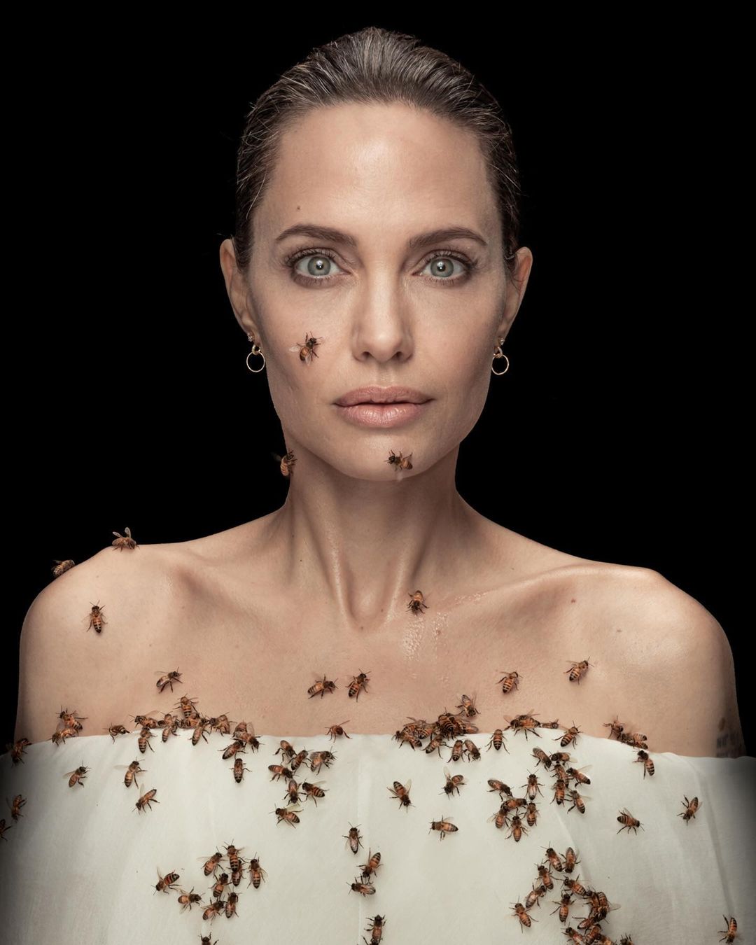 Angelina Jolie celebró el Día Mundial de las Abejas