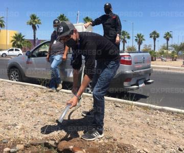 ¡Gran ejemplo! Plantan 50 árboles en Paseo Río Sonora y no los abandonan