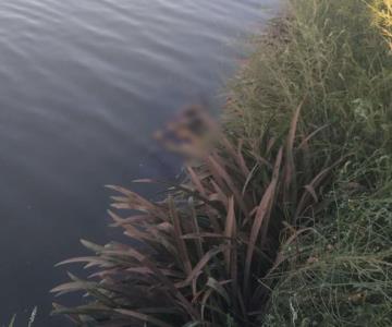Localizan cuerpo flotando en canal de Navojoa; todavía no ha sido identificado