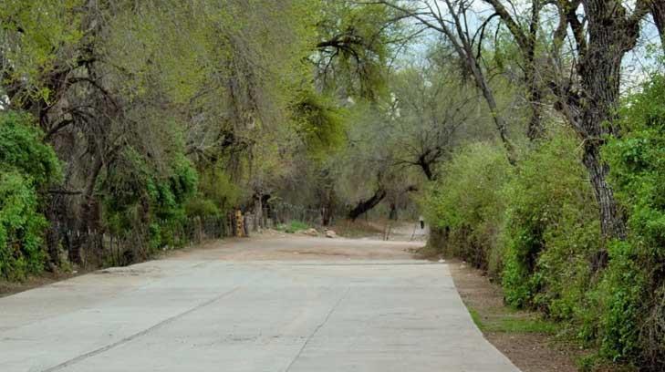 Organizaciones civiles van por más áreas verdes para Hermosillo