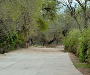 Organizaciones civiles van por más áreas verdes para Hermosillo