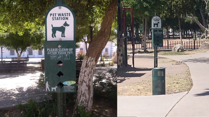 Cada vez hay más parques pet friendly en Hermosillo