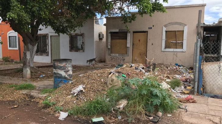 Vecinos de Guaymas sufren por una plaga: las casas abandonadas