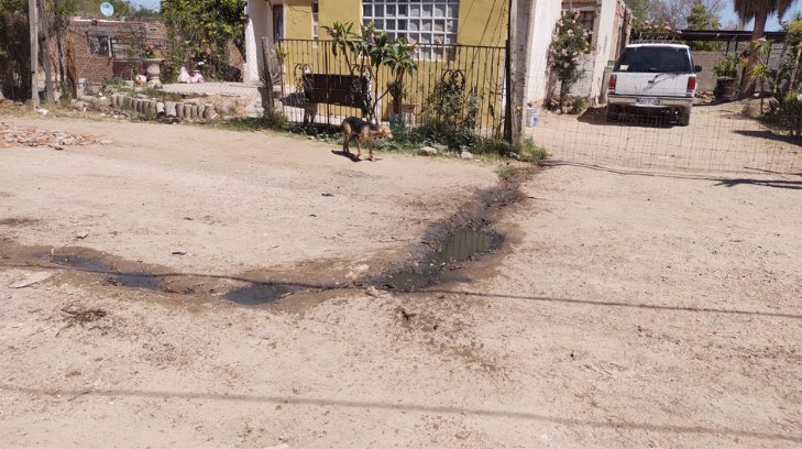 Vecinos de la colonia Arco Iris reportan baches y fugas de agua