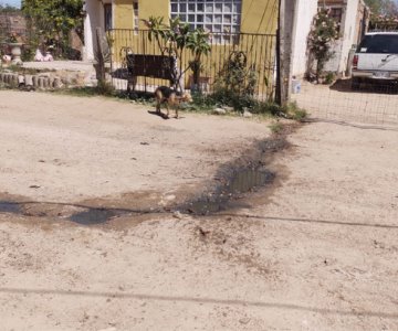 Vecinos de la colonia Arco Iris reportan baches y fugas de agua