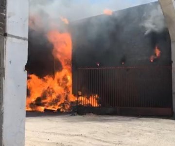 VIDEO | Fuego consume almacén de tarimas al norte de Hermosillo