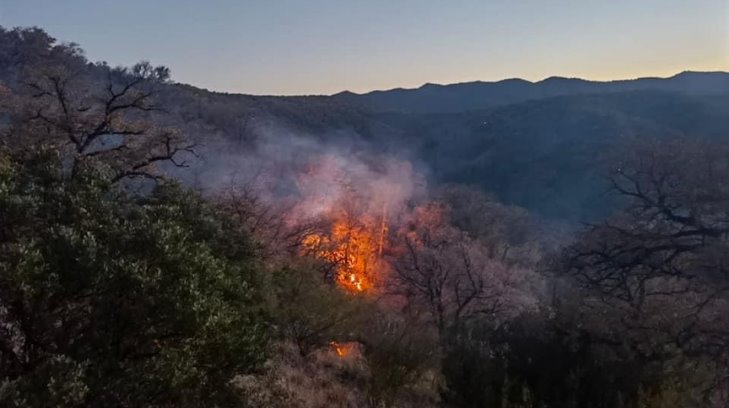 Se reactiva incendio forestal en Álamos por condiciones climáticas