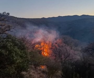 Descuidos de los turistas provocan el 99% de los incendios forestales