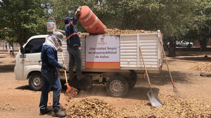 Realizan jornada de limpieza en el Parque Madero