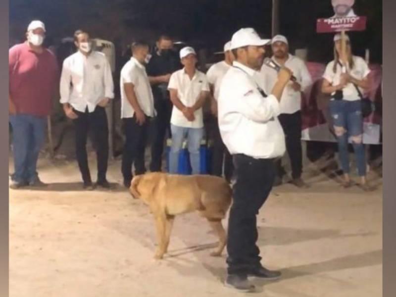 Perro orina sobre candidato a alcaldía de Navojoa y se hace viral