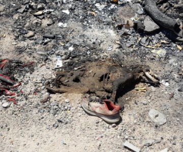 Merecen un entierro apropiado: vecinos del norte reportan quema de cadáveres de perros