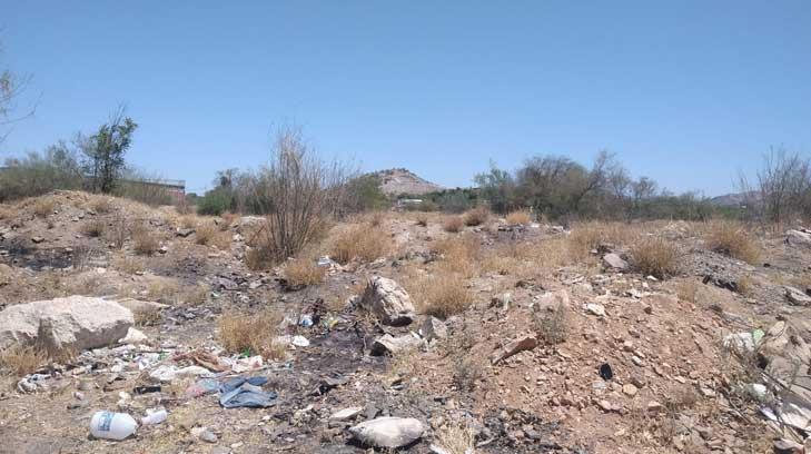 En un cementerio de animales se ha convertido un predio de la colonia López Mateos