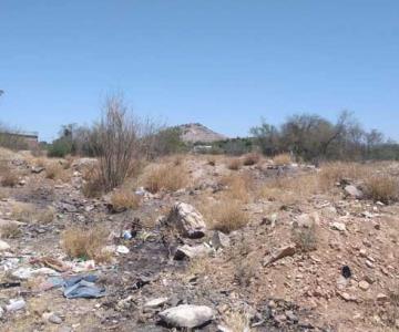 En un cementerio de animales se ha convertido un predio de la colonia López Mateos