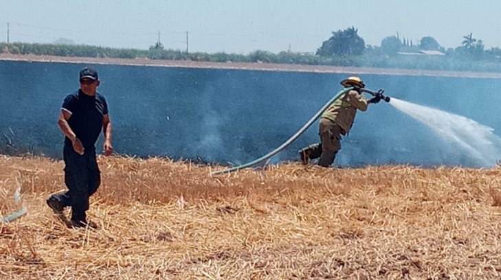 ¡Miles de pesos perdidos! Sofocan 3 incendios de trigo este fin de semana en Benito Juárez
