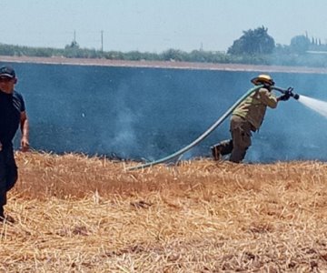 ¡Miles de pesos perdidos! Sofocan 3 incendios de trigo este fin de semana en Benito Juárez
