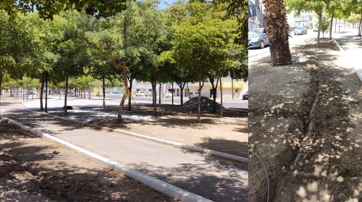 Rehabilitan sistema de riego del parque Luis Encinas