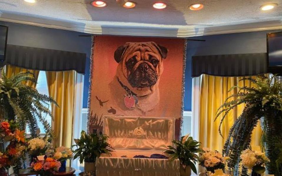 Dueño le organiza extravagante funeral a su perrito