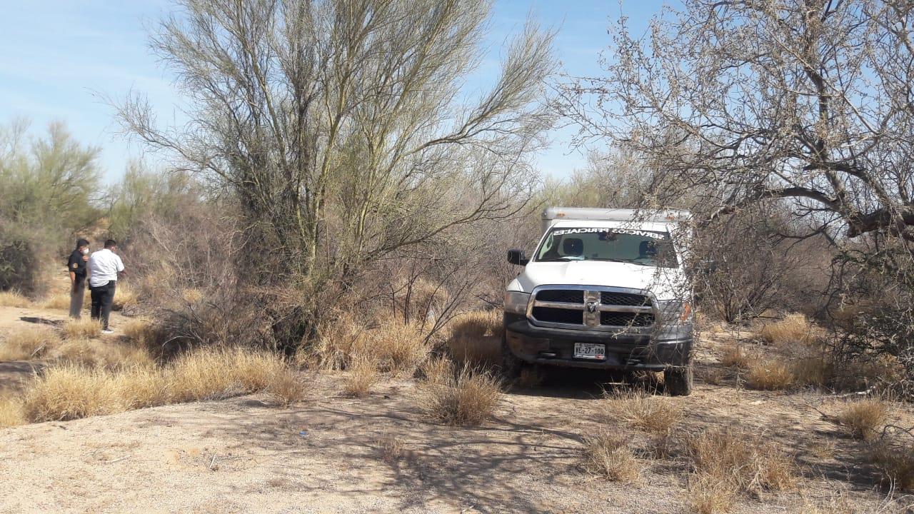 Localizan cuerpo sin identificar colgado en árbol de Pueblitos