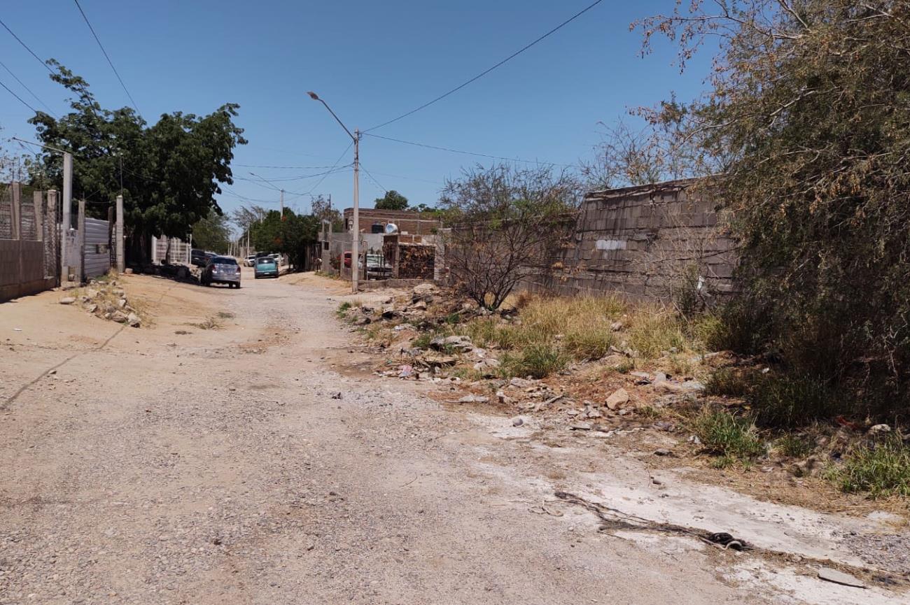 ¡Mucho cuidado! Serpientes invaden una colonia al sur de Hermosillo