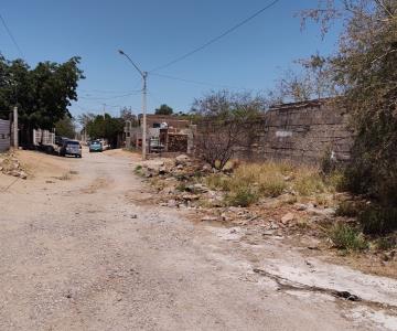 ¡Mucho cuidado! Serpientes invaden una colonia al sur de Hermosillo