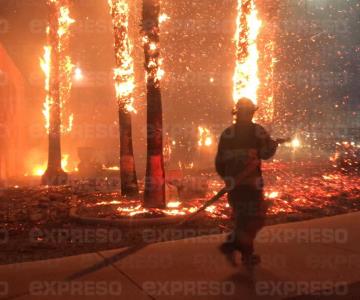 VIDEO - Impactante incendio en la Unison: arden palmeras del Centro de las Artes