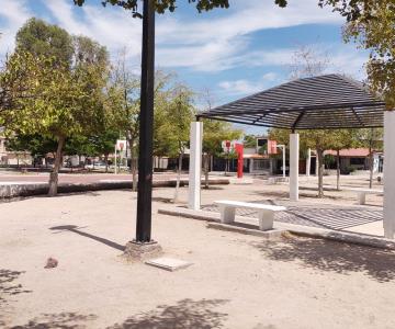 Dan mantenimiento a 10 millones de metros de plazas y parques en Hermosillo