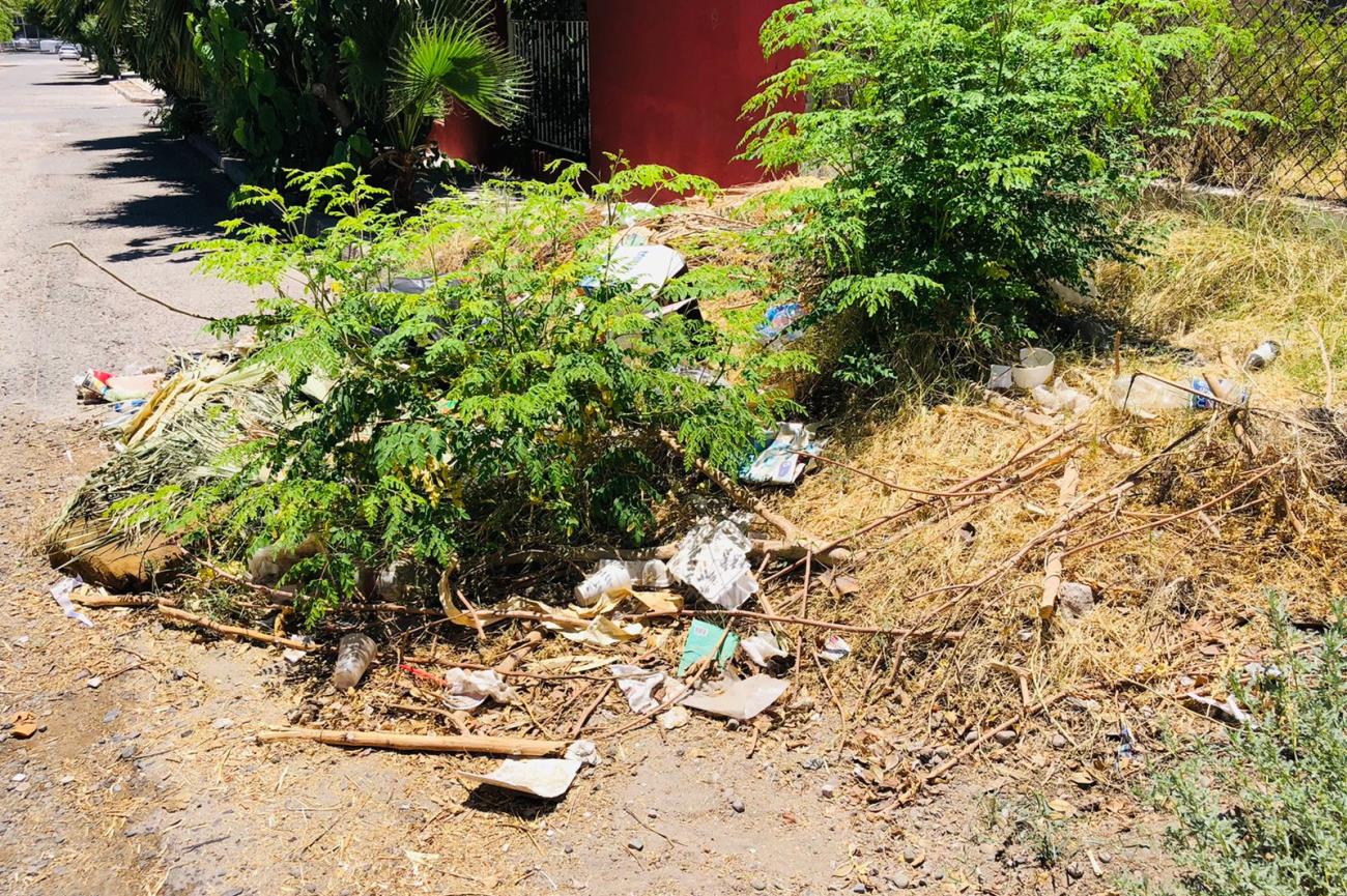 “Necesitamos que vengan a limpiar porque ya estamos hartos de esto”; vecinos del Mariachi denuncian predio sucio