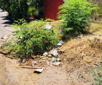 “Necesitamos que vengan a limpiar porque ya estamos hartos de esto”; vecinos del Mariachi denuncian predio sucio