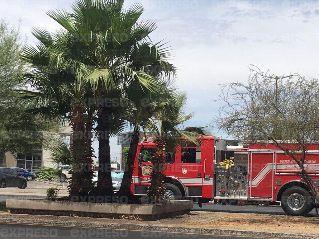 Incendian palmeras... pero ahora sobre el Rodríguez