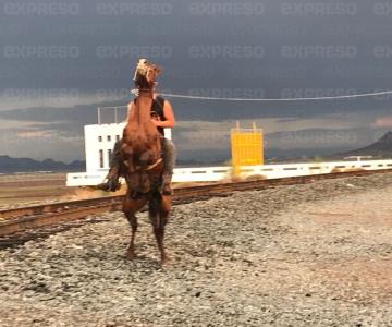 Solo los hermosillenses festejan la llegada de la lluvia así