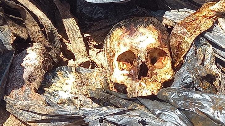 Encuentran cinco cadáveres en fosas clandestinas al sur de Hermosillo