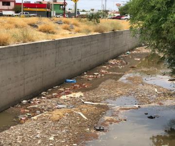 Malos olores, basura y agua estancada perjudica a los vecinos de canal en Lázaro Cárdenas