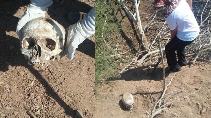 Tétrico hallazgo de viernes: localizan cráneo humano en el Valle del Yaqui; falta el resto