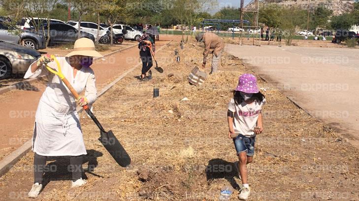 Dejarán El Cárcamo más verde que nunca