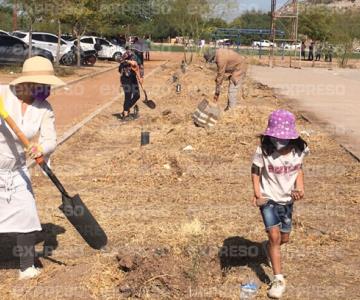 Dejarán El Cárcamo más verde que nunca