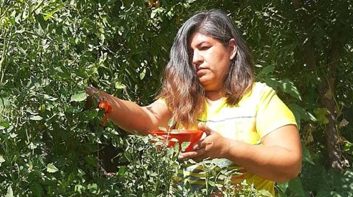 Emma Fierro inspira a la comunidad hermosillenses por su amor al medio ambiente